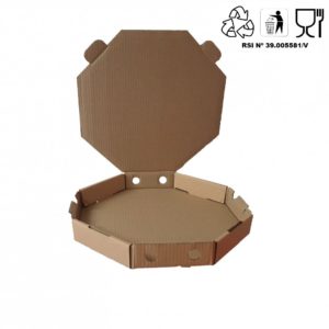 CAJA PORTAPAELLA CARTON 53CM (42-55)